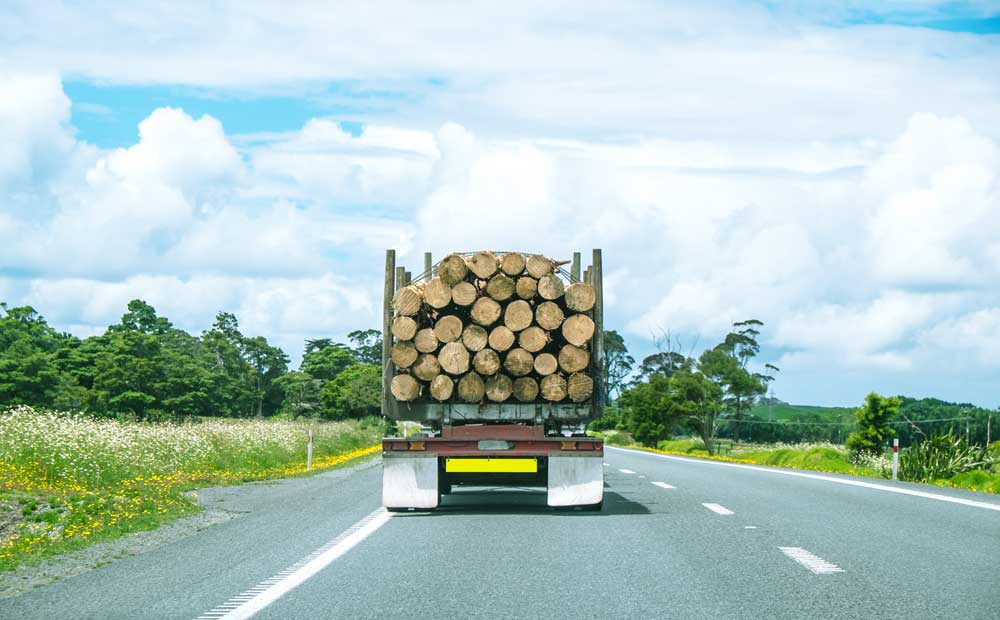 Back view of a logging truck driving in the country